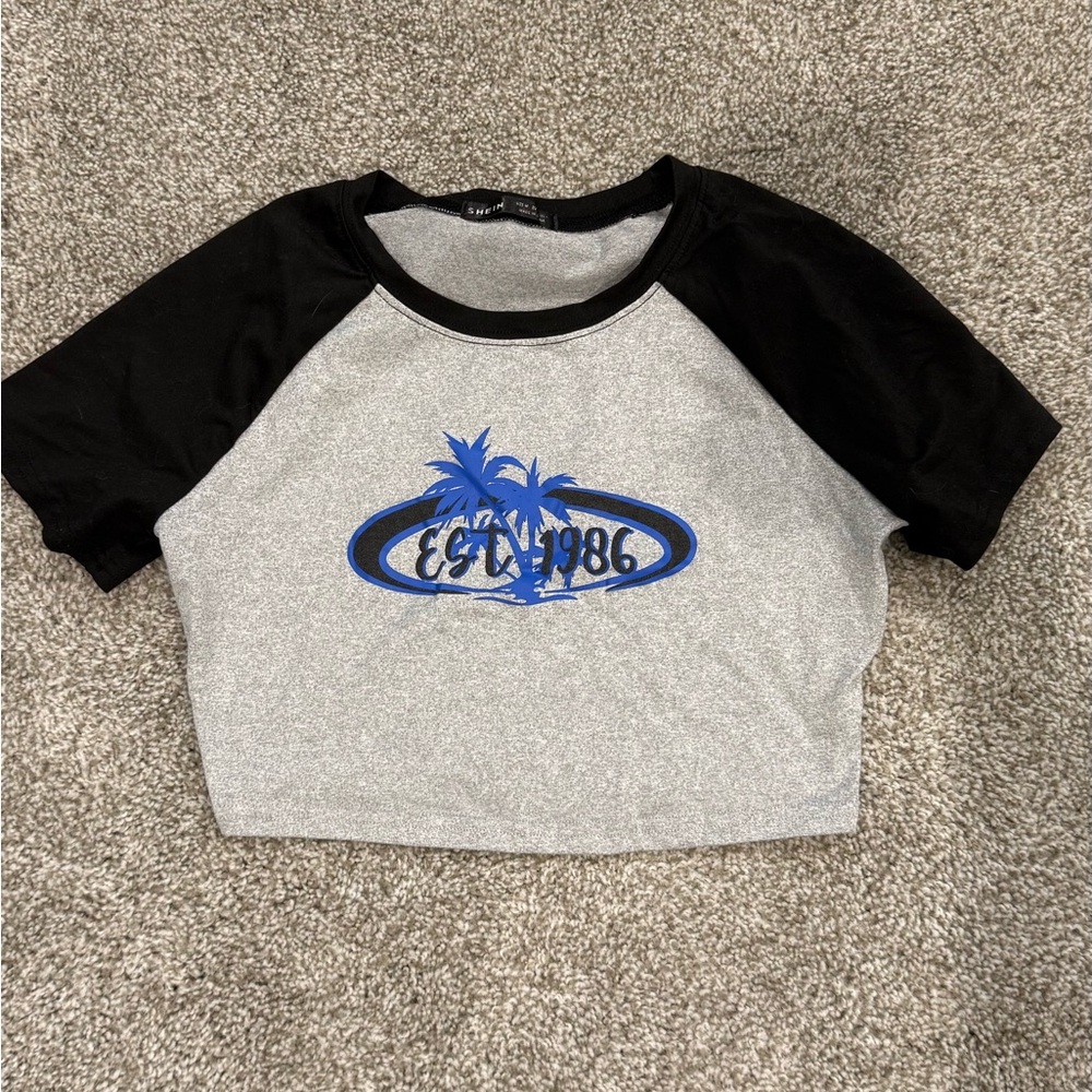 Gray and Black Crop Top with Blue Graphic